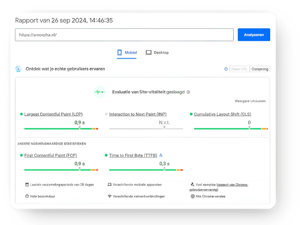 Amorpha Google PSI Core Web Vitals